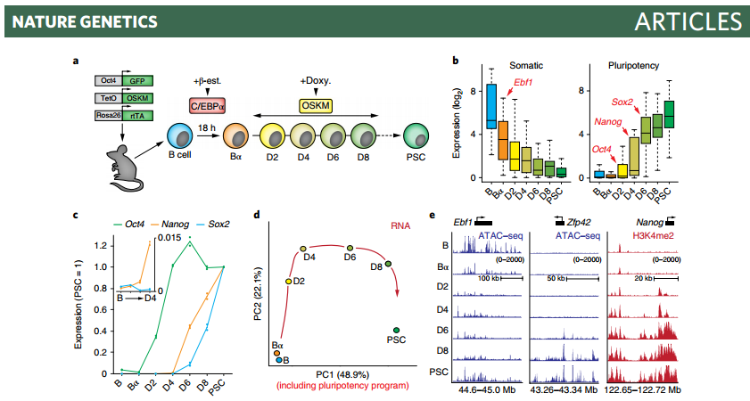 nature genetics | transcription factors orchestrate dynamic